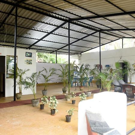 Maria Guest House 帕罗林 外观 照片